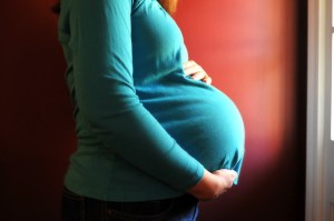 Photo by Crickett Photography 